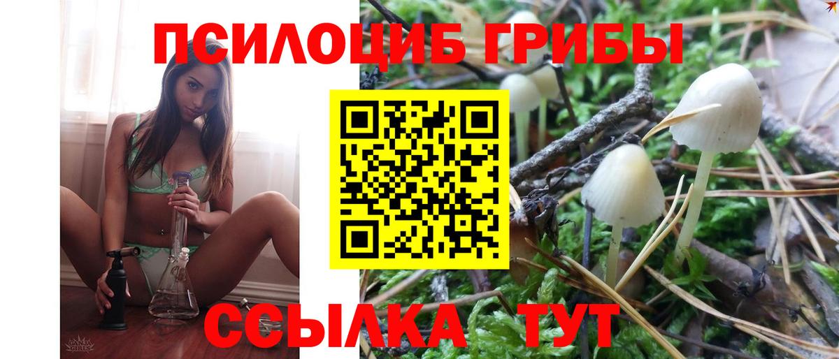 Псилоцибиновые грибы Magic Shrooms  Вход с VPN  Галлюциногенные грибы Magic Shrooms  Изобильный 