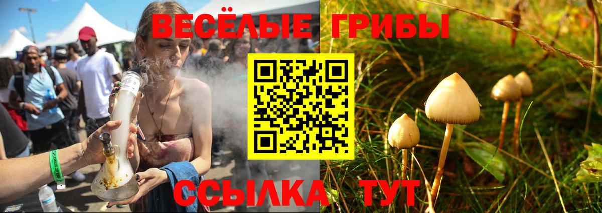 Галлюциногенные грибы Psilocybine cubensis Изобильный